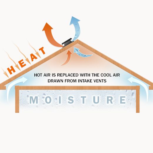 Laconia Ceiling Fan Electricians